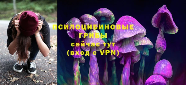 скорость Балахна
