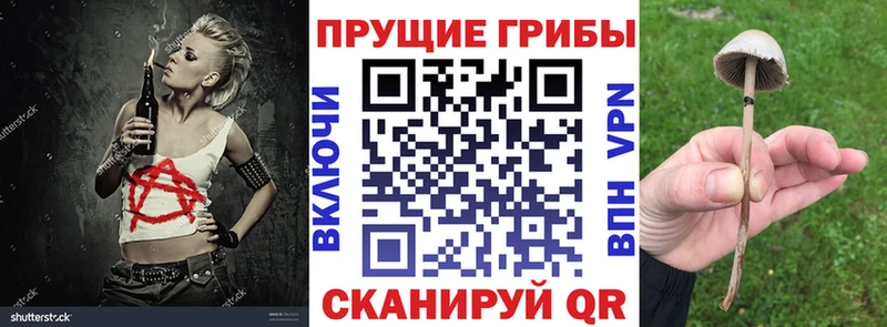 Псилоцибиновые грибы Cubensis  KRAKEN ссылка  Чудово 